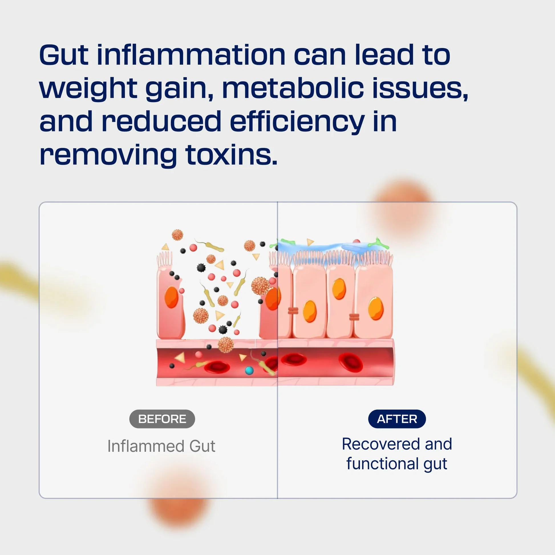 TrueBalance™ Body Protection Compound (BPC-157) (60ct) - Image 8